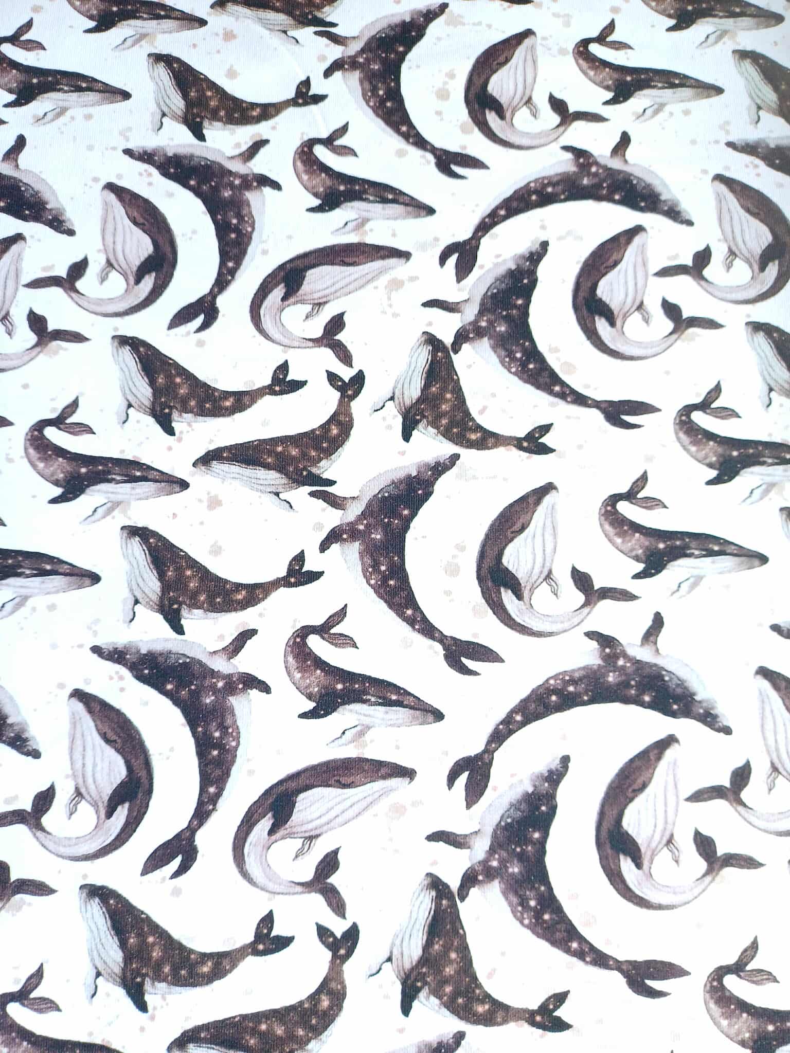 Whales