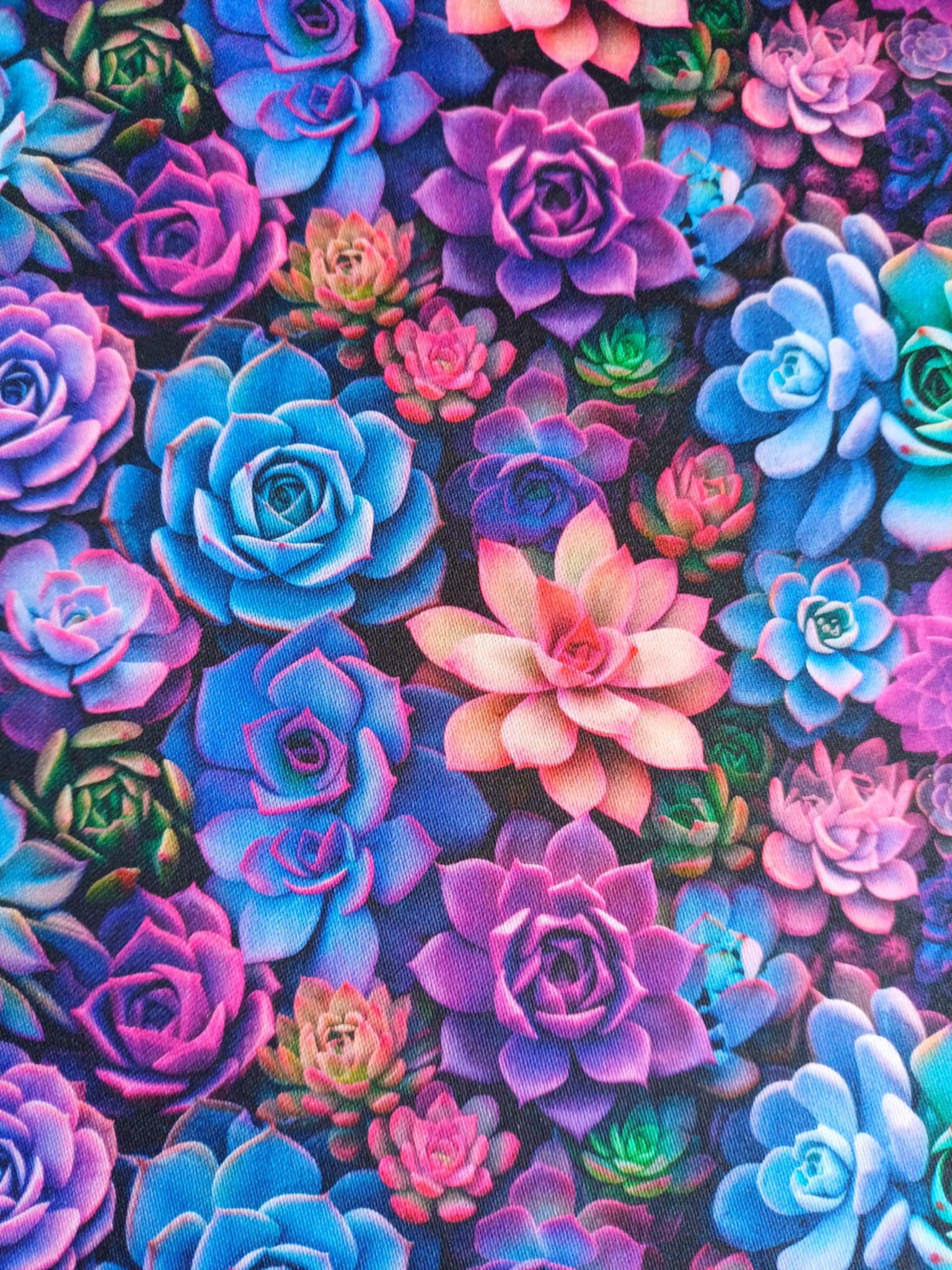 Succulents
