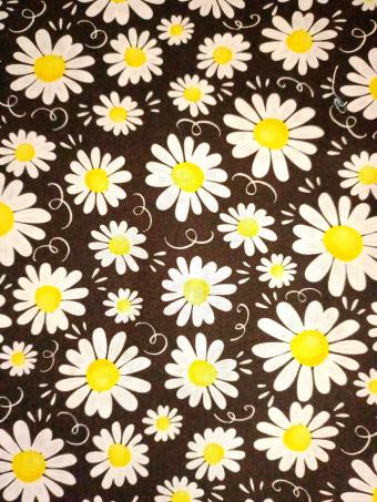 Daisys