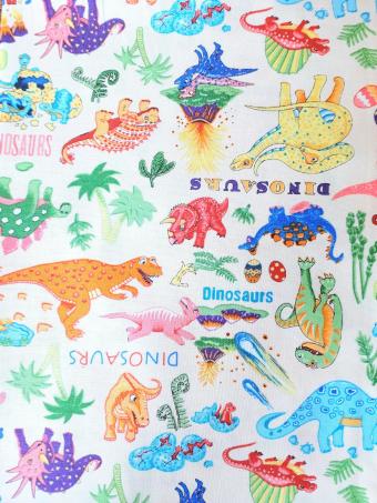 Colourful Dinosaurs