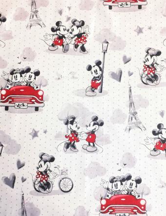 Mickey and Minnie