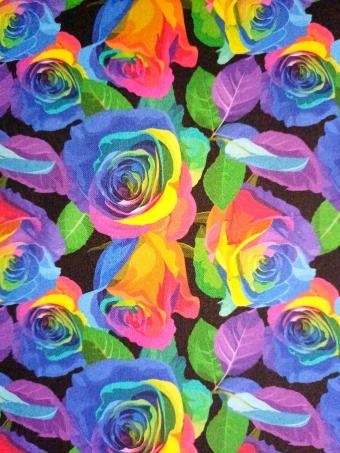 Multicoloured Roses