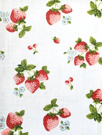 Strawberries on White